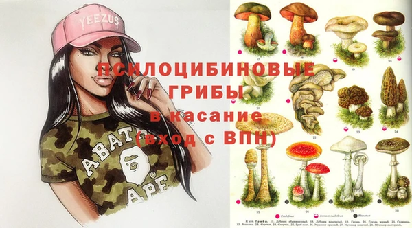 соль ск Алексеевка