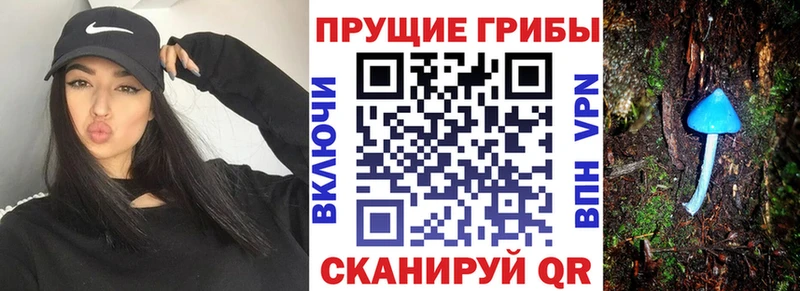 Псилоцибиновые грибы ЛСД  как найти наркотики  Камызяк 